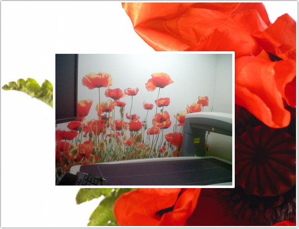 Haguenier mur imprimé, installation de murs imprimés tendus dans la salle de radiologie de ce centre équipé de matériel dernière génération Hagunier des coquelicots en salle de radiologie